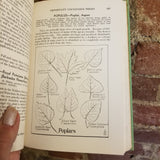 The Book of Trees - Alfred Hottes 1944 A.T. DeLaMare Co vintage HB