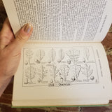 The Book of Trees - Alfred Hottes 1944 A.T. DeLaMare Co vintage HB