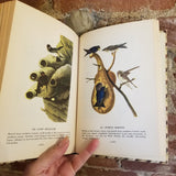 Audubon's Birds of America. Popular Edition- Ludlow Griscom 1950 The Macmillan Co First printing vintage HB