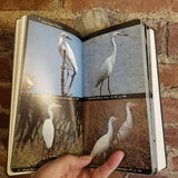 The Audubon Society Field Guide To North American Birds: Eastern Region -  John L. Bull 1977 Alfred A knopf