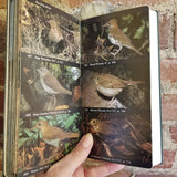 The Audubon Society Field Guide To North American Birds: Eastern Region -  John L. Bull 1977 Alfred A knopf