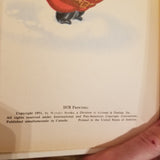 Merry Christmas Mr. Snowman - Irma Wilde 1978 Wonder Books vintage HB