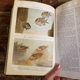 The Book of Fishes - John Oliver La Gorce 1939 National Geographic Society HB