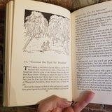 Not Without Danger - Herbert Best 1951 The Viking Press vintage HB