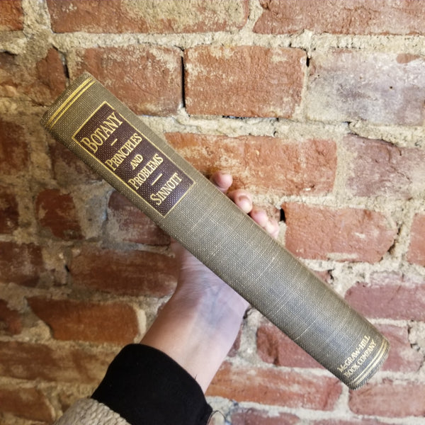 Botany, Principles and Problems - Edmund W. Sinnott  1935 McGraw-Hill vintage HB