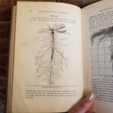 Botany, Principles and Problems - Edmund W. Sinnott  1935 McGraw-Hill vintage HB
