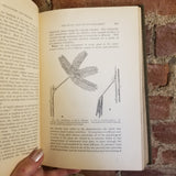 Botany, Principles and Problems - Edmund W. Sinnott  1935 McGraw-Hill vintage HB