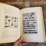 Botany, Principles and Problems - Edmund W. Sinnott  1935 McGraw-Hill vintage HB