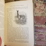 Carpenter's Geographical Reader - South America - Frank G. Carpenter 1899 American Book Co vintage HB