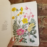 Rocky Mountain Flowers: An Illustrated Guide for Plant-Lovers and Plant-Users - Frederic E. Clement 1963 Hafner Publishing vintage HBs