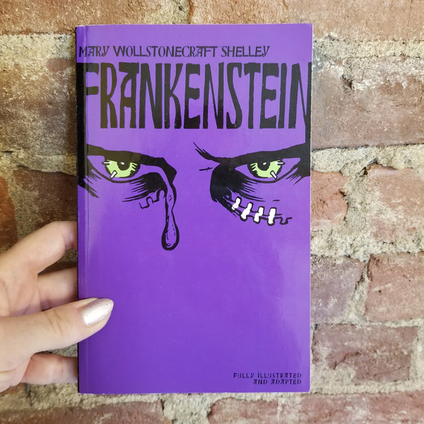 Frankenstein -  Mary Shelley 2013 Dalmatian Press PB