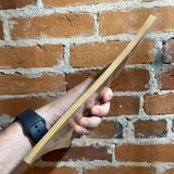 Project Cat -  Nellie Burchardt - 1969 Scholastic Paperback