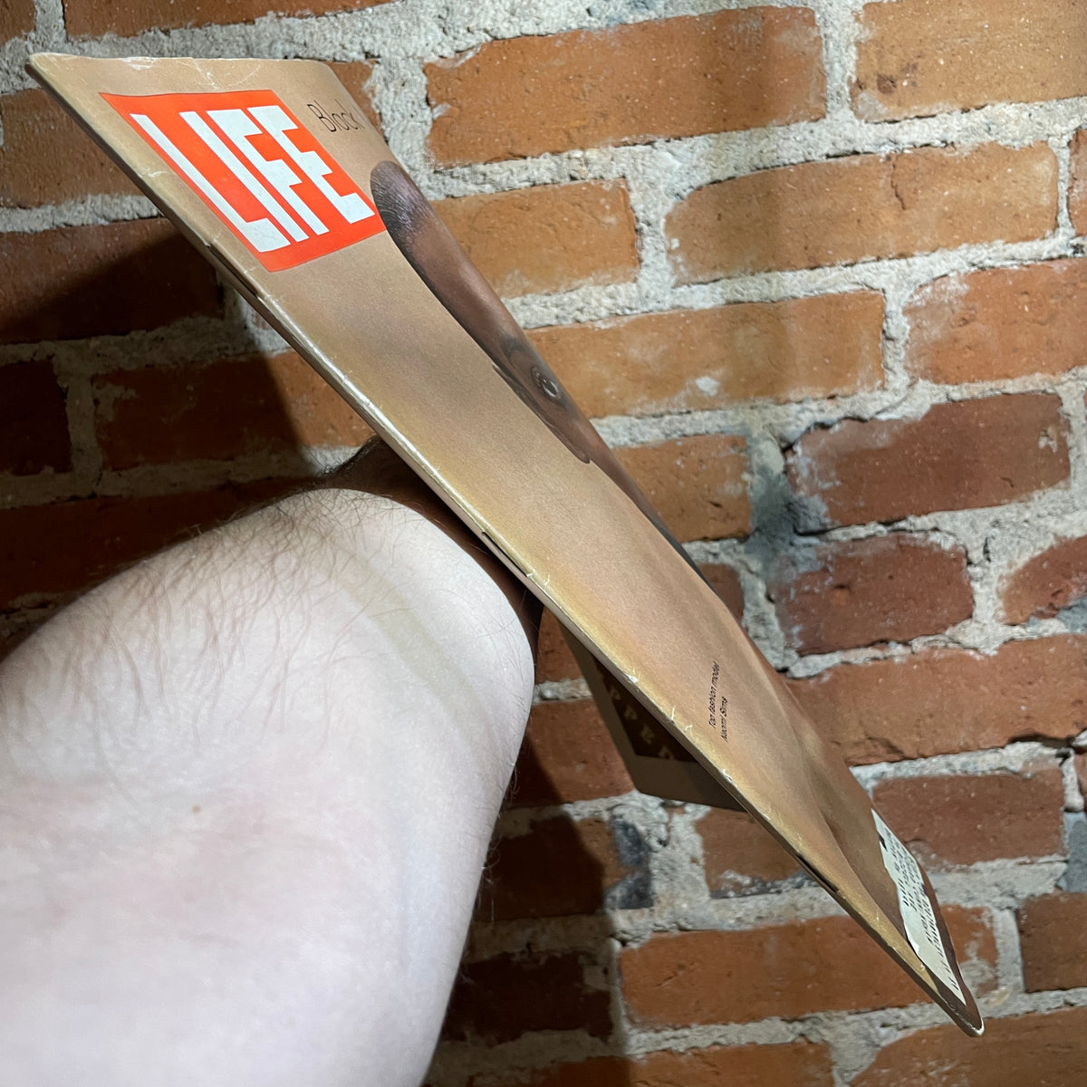 Life Magazine Oct. 17 1969: Naomi Sims Cover - Black Models Take Cente ...