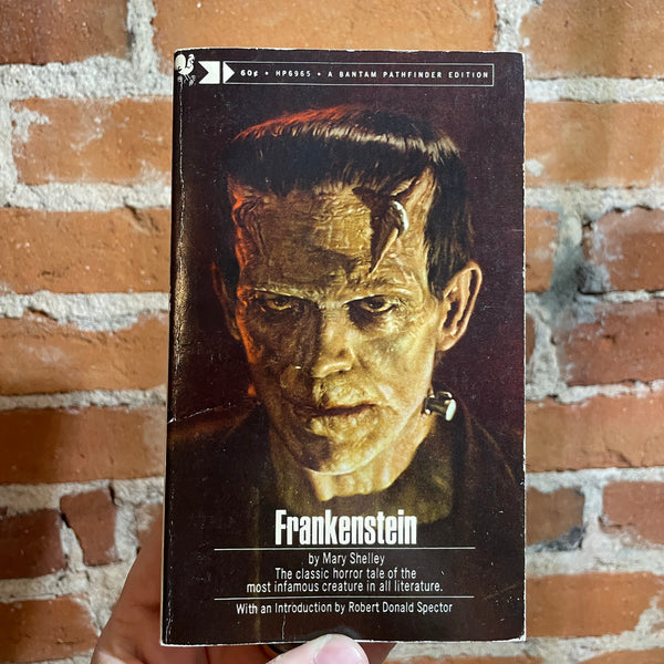Frankenstein, or the Modern Prometheus - 1973 Bantam Books Paperback