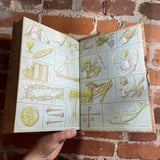 The Children’s Bible - 1972 Golden Press Rare Religion Hardback