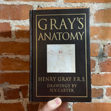 Gray’s Anatomy - Henry Gray, F.R.S. 15th Edition 1995 Barnes & Noble illustrated leatherbound edition H.V. Carver