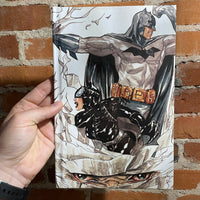Batman: Heart of Hush - Paul Dini, Dustin Nguyen, Derek Fridolfs Hardcover Edition