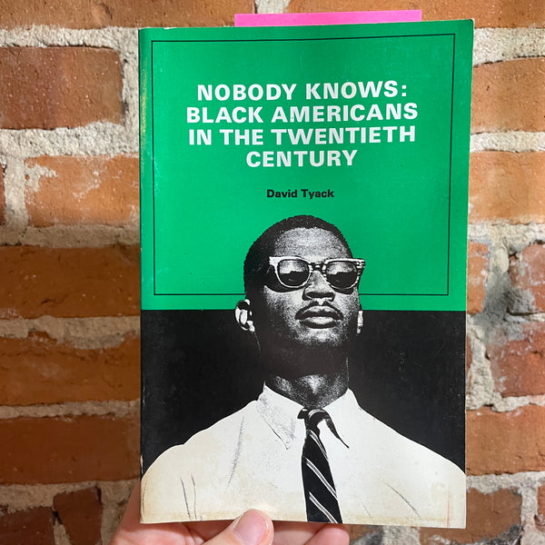 Nobody Knows: Black Americans in the Twentieth Century - David Tyack - Paperback