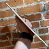 Project Cat -  Nellie Burchardt - 1969 Scholastic Paperback