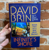 Infinity's Shore - David Brin