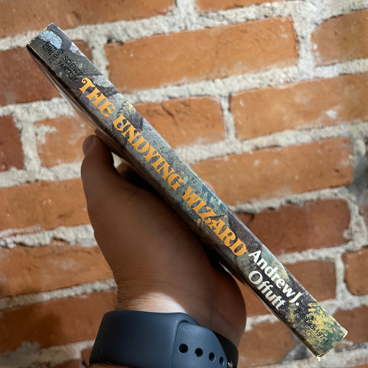 The Undying Wizard - Andrew J. Offutt - 1976 1st Zebra Books - Jeff Jo ...