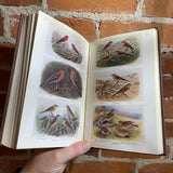 The Popular Handbook of British Birds - Edited by P.A.D. Hollom 1952 Illustrated Hardback