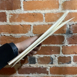 Gassier’s Lute: A West African Epic - Alta Jankowski - 1972 Paperback