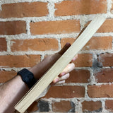 Black Thunder - Arva Bontemps - 1970 Beacon Press Paperback