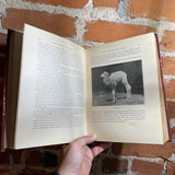 Wild Animals I Have Met - Frederick Seymour 1901 The Educational Company Hardback