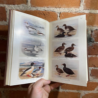 The Popular Handbook of British Birds - Edited by P.A.D. Hollom 1952 Illustrated Hardback